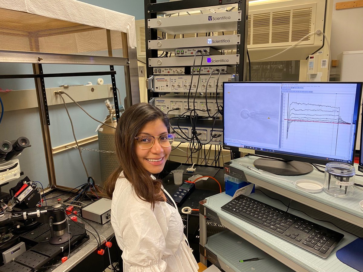 First nucleated patch in the lab! Great job, Nancy! <a href="/neuronancy_/">Nancy Castro Borjas</a> <a href="/NuinComm/">NUIN</a> #patchclamp #neuroscience