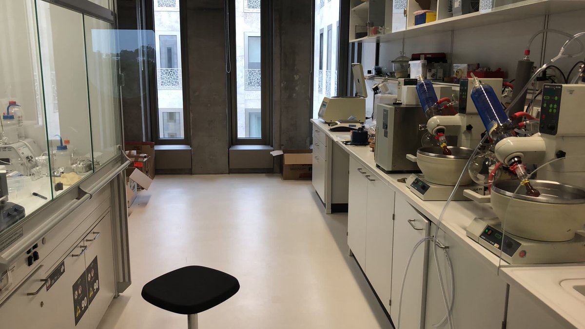 Michaela A. Dippold tweet media