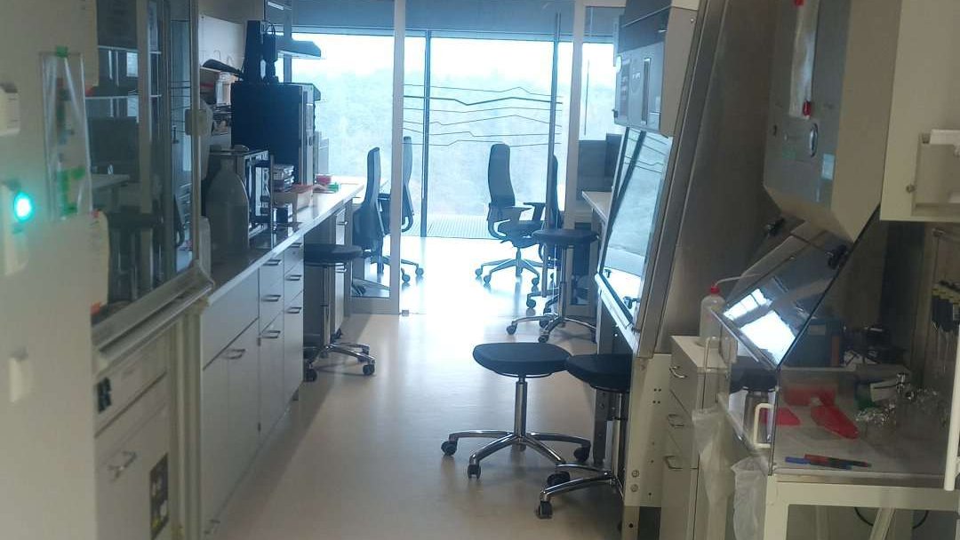 Michaela A. Dippold tweet media