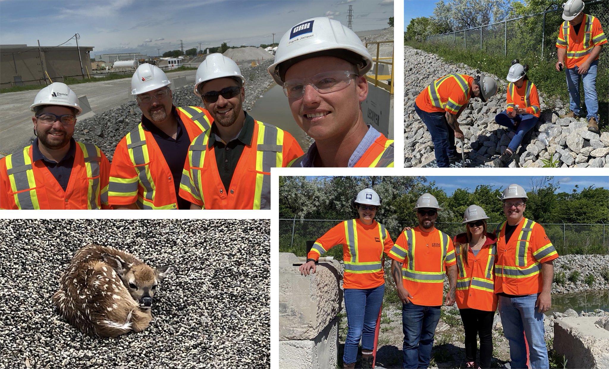 CRH Canada on Twitter "In honor of Canadian Environment Week, we