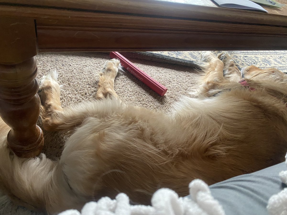 🔪 bonnie🔪 tweet media