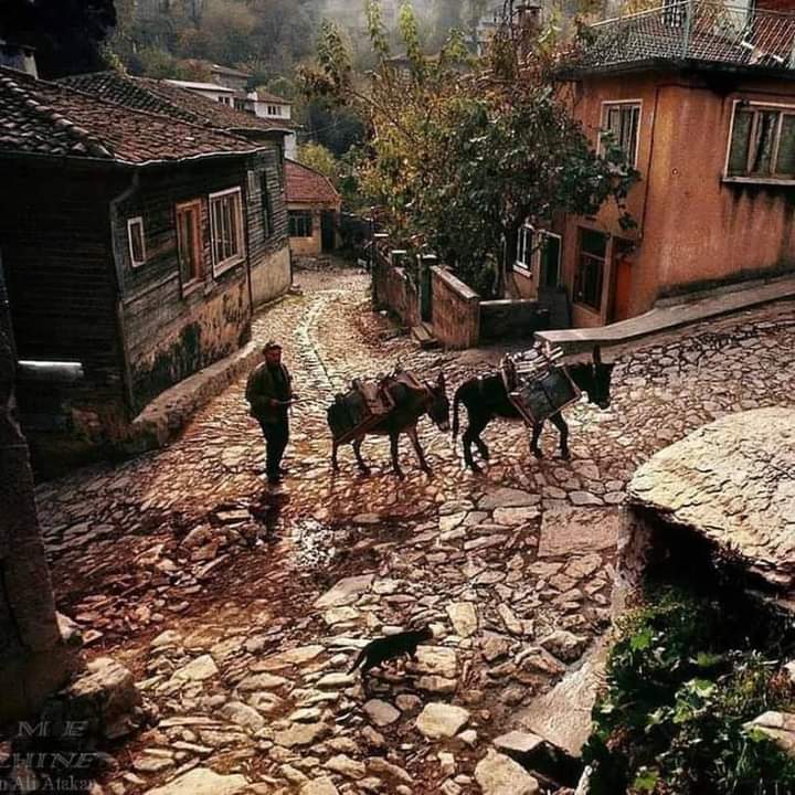 NataliAVAZYAN's tweet photo. Rumelihisarı / İstanbul, 1973
Fotoğraf; Ara Güler https://t.co/FjqusGNADH