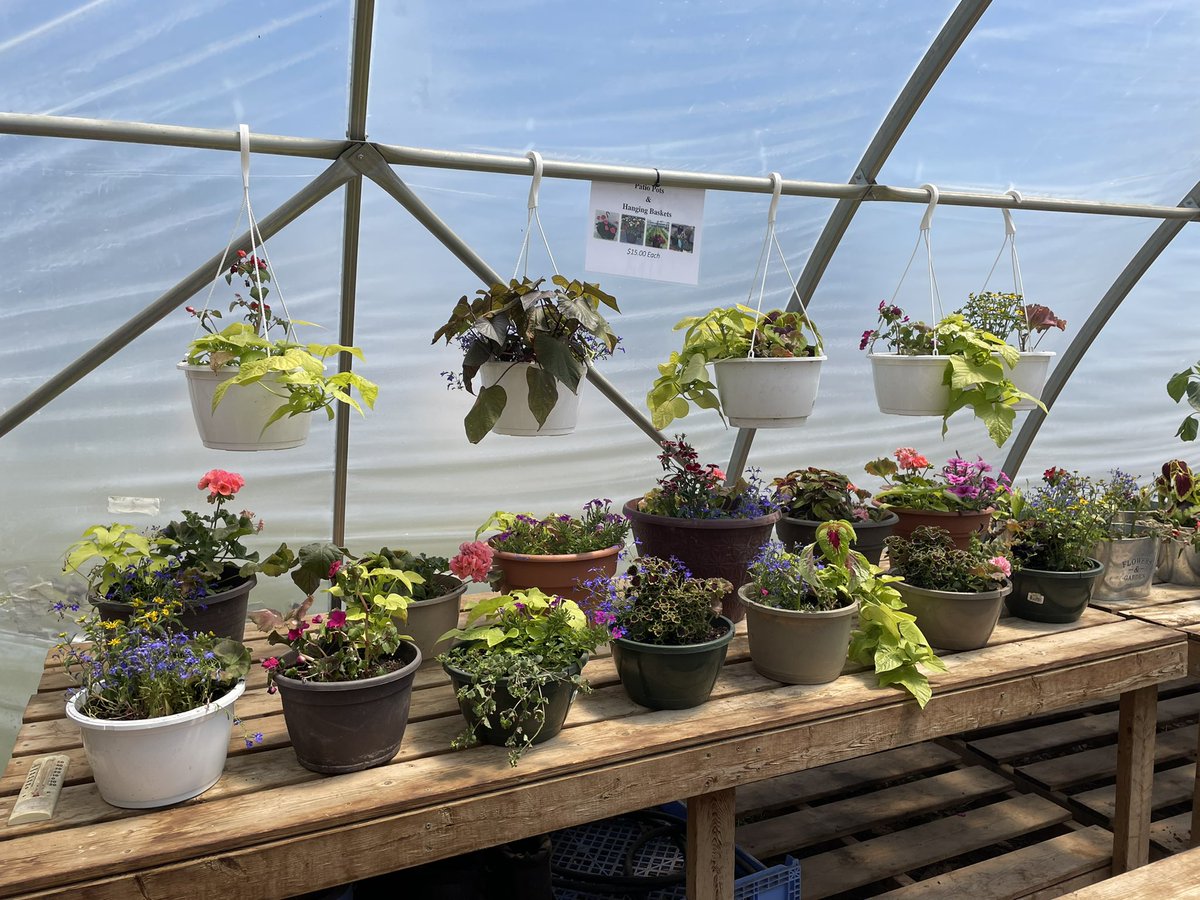 BWDSB Program Department tweet media