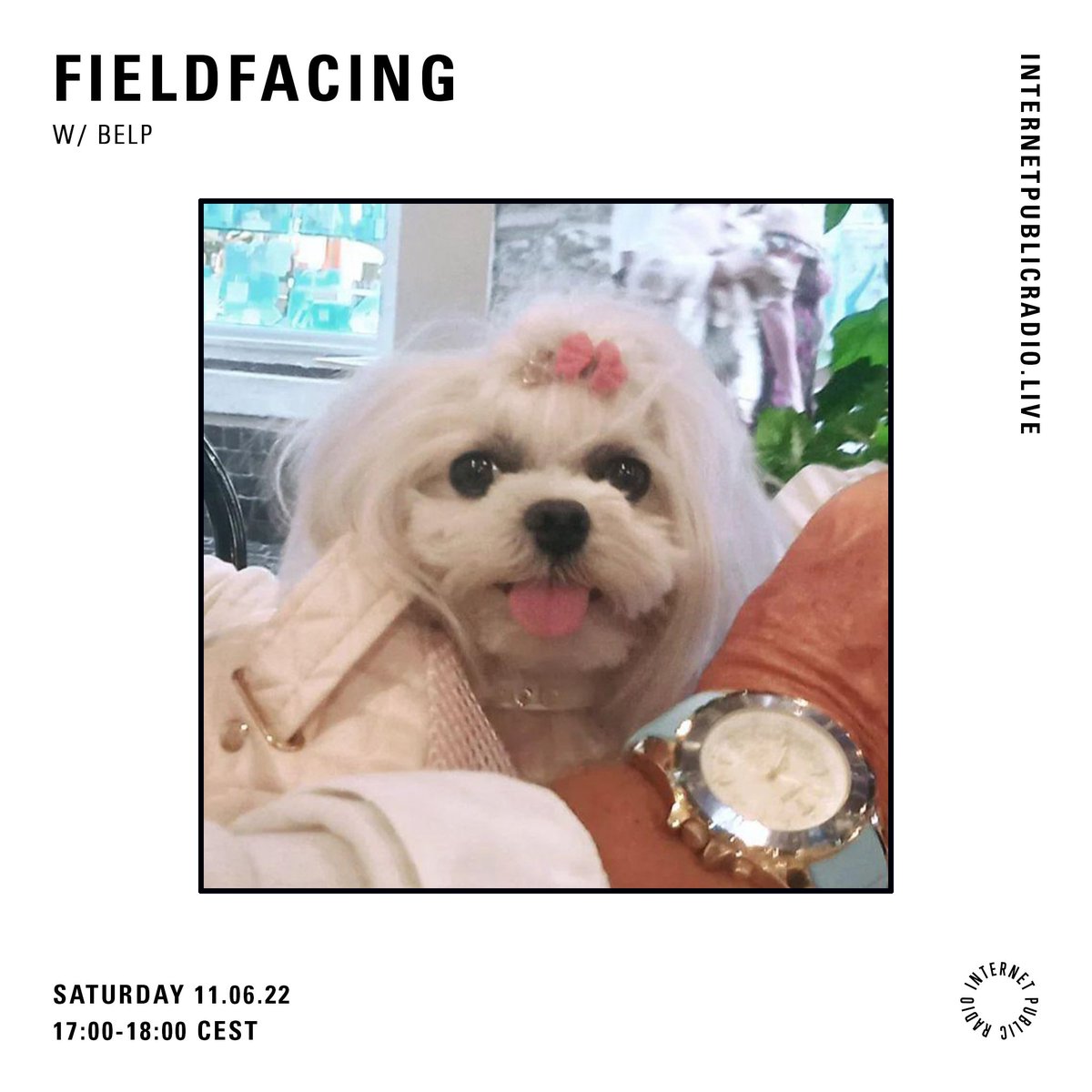 BELP (@belp_audio) on Twitter photo 