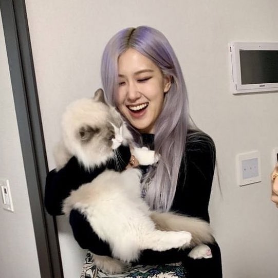 rosé pics (@rosespics) on Twitter photo 