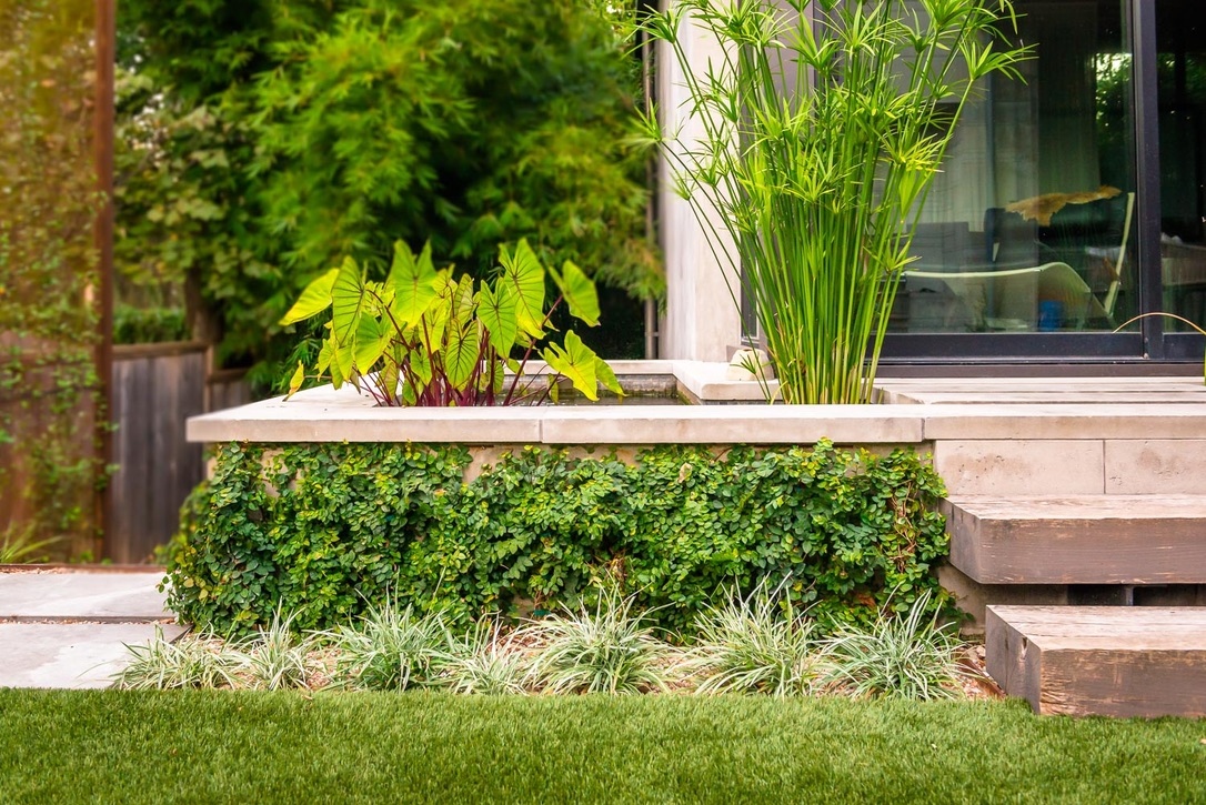 eden_garden's tweet image. Eden Design + Build Projects: A lush water feature brings a sense of calmness to this space. 

#waterfeaturedesign #modernlandscape