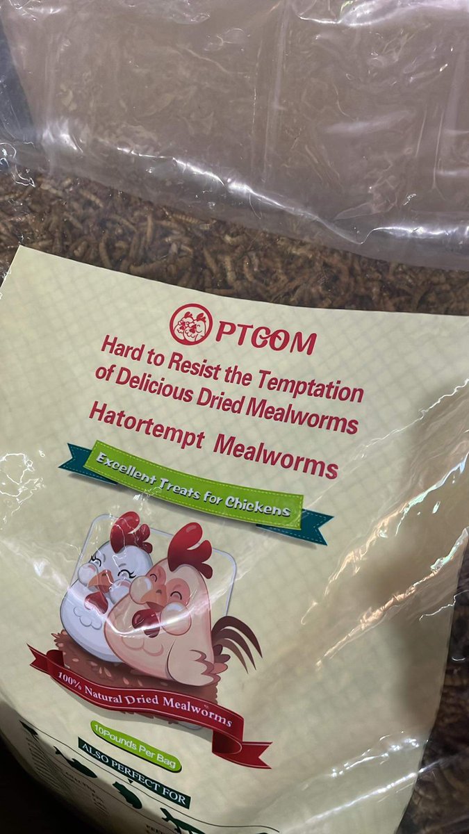 wheatspawn's tweet photo. Stocking up for Martha's potluck this weekend!! 🤪🧑‍🦳🍛🐛 https://t.co/73nJRBn7We
