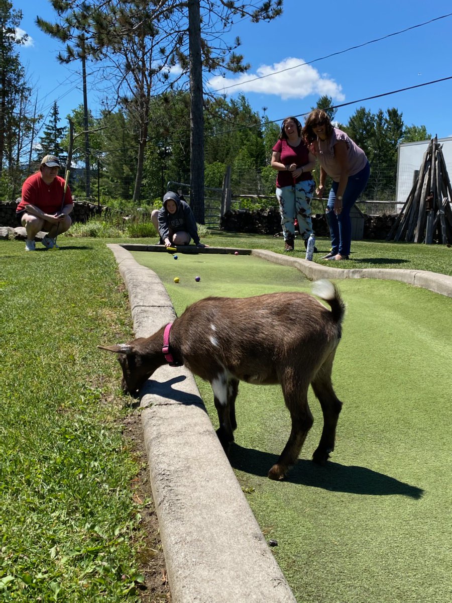 Super fun day at our South Campus today playing mini golf with this crew. A bonus was getting to interact with the animals along the course. <a href="/LL_MSmith/">LL Millard-Smith</a> <a href="/SimcoeShoresSS/">Simcoe Shores SS</a> #goats