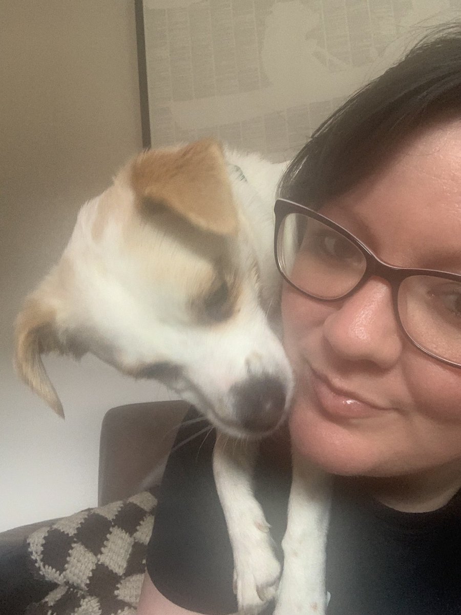 NotebooksByLisa's tweet photo. Not sure how I’m supposed to get any work done around here! I’m half way through making covers for some lovely new notebooks and sat down for a second.
#HandmadeGifts #MyAssistant #MHHSBD #NotAParrot https://t.co/zOkWyGNTUr