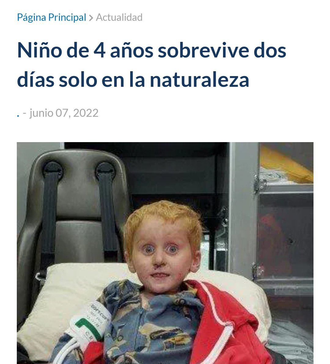 Serthand's tweet image. Yo soy un oso hambriento, me encuentro a ese niño mirándome así en mitad del bosque y me hago el loco.