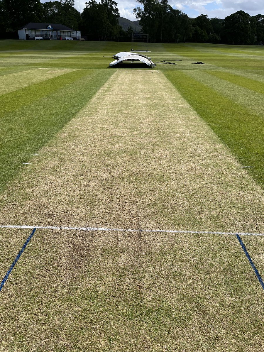 Merchiston Grounds tweet media