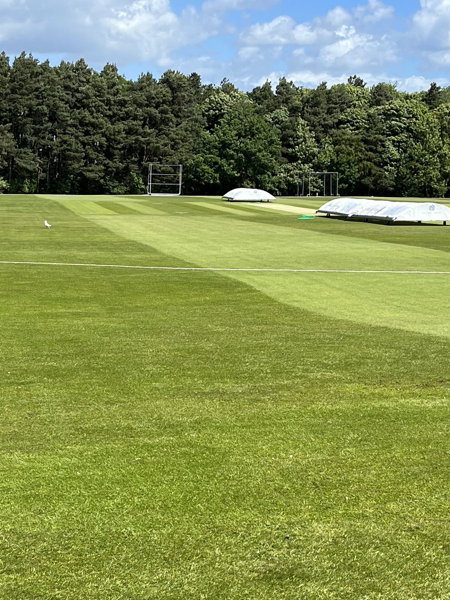 Merchiston Grounds tweet media