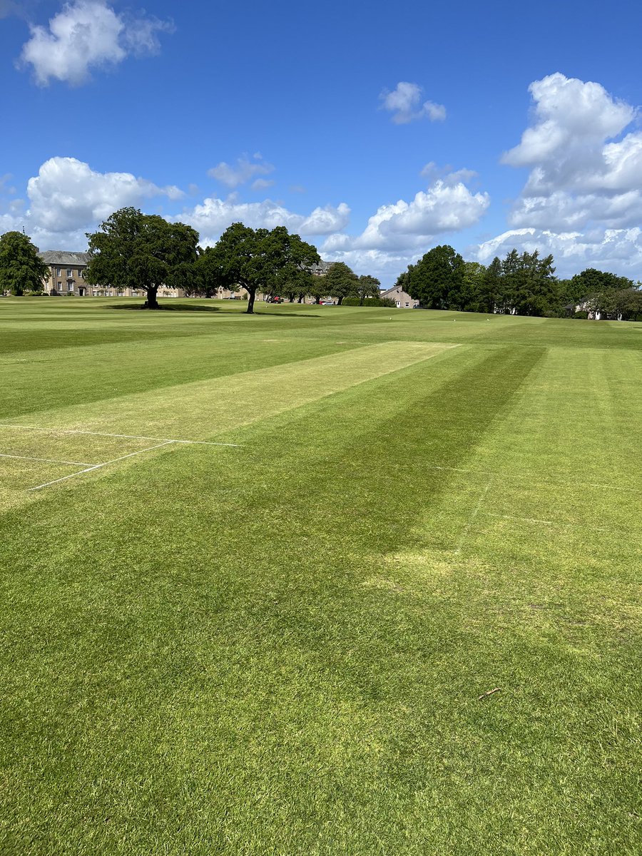 Merchiston Grounds tweet media