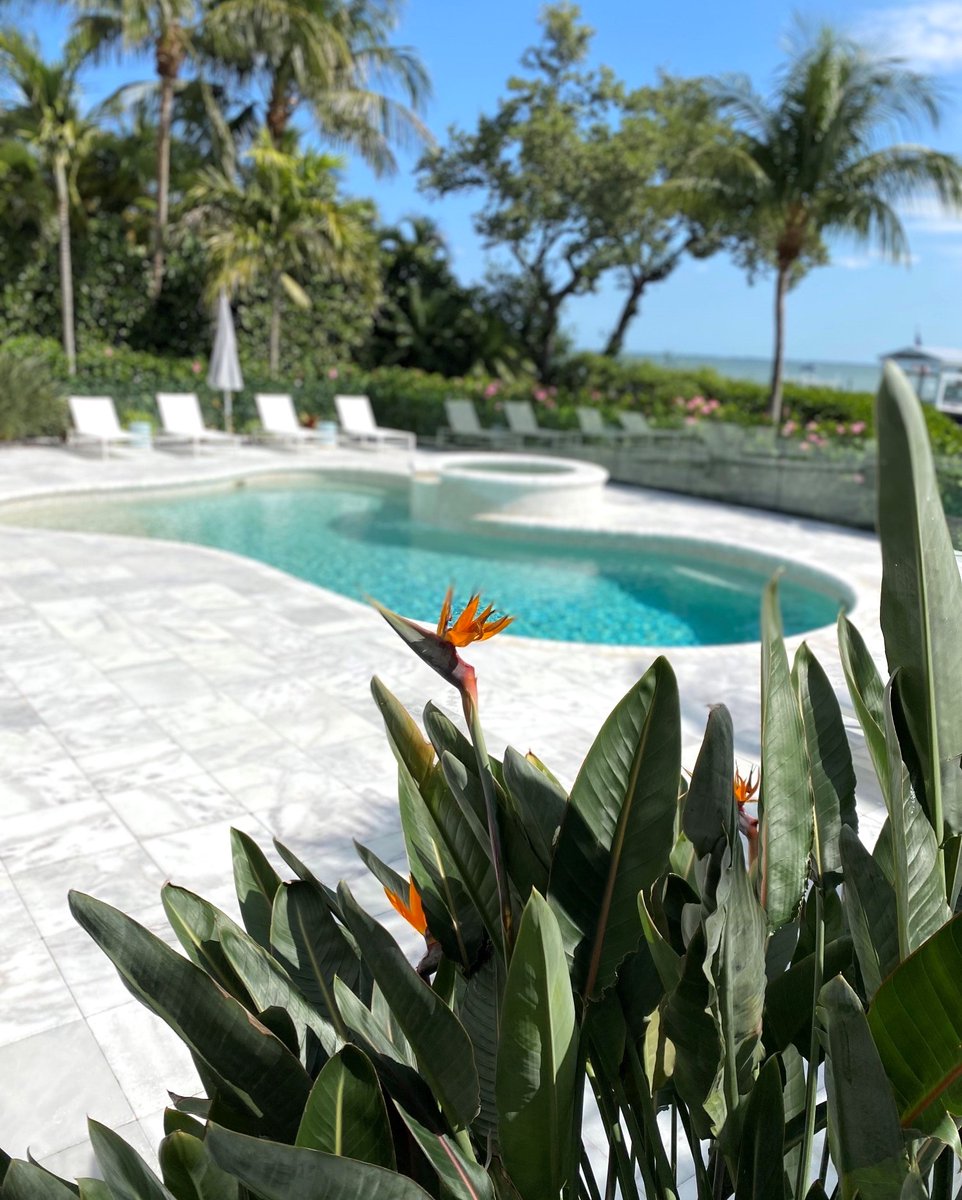 Where's the pool party this weekend? It's definitely swimming season. Pictured here, 1 of our landscaping jobs with some orange Birds of Paradise chilling poolside. Give us a shout if you need help taking your tropical outdoor spaces to the next level 🌞  rswalsh.com
