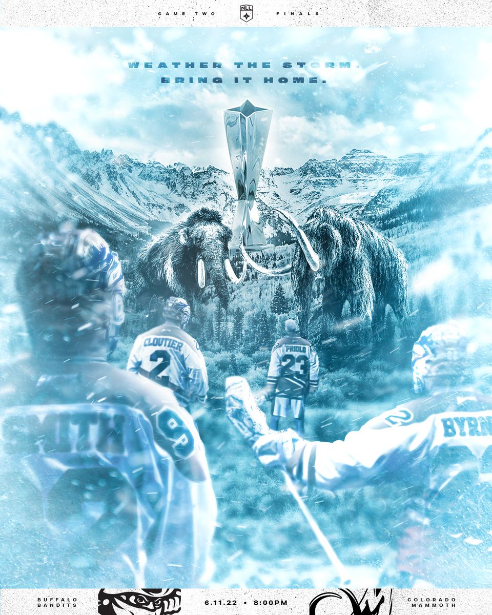 Buffalo Bandits tweet media