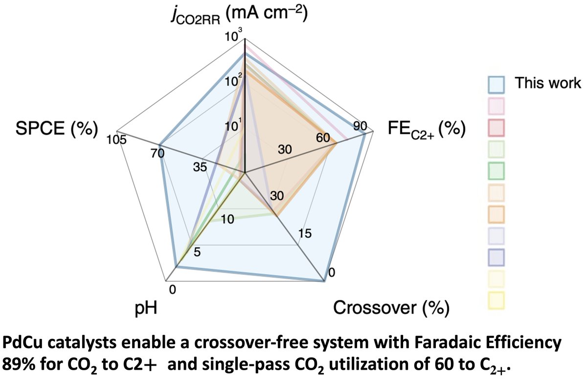 How to design #catalysts to succeed in high-#CO2-utilization systems? Congrats <a href="/PengfeiOu/">Pengfei Ou</a> @XueWang82144134 Prof. Ying Wang bit.ly/3aUTbOv <a href="/CUHKofficial/">The Chinese University of Hong Kong - CUHK</a> on today's <a href="/NatureCatalysis/">Nature Catalysis</a>: High CO2 utilization to multi-carbon products <a href="/YCL_Lab/">YCL Lab Buffalo</a> <a href="/SintonLab/">Sinton Lab</a> go.nature.com/3OpjHhx