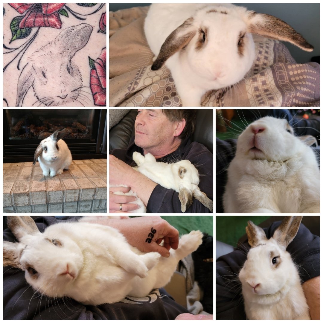 In loving memory of Kale bunny 🐰