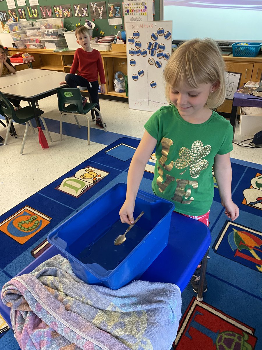 Sink and float activity