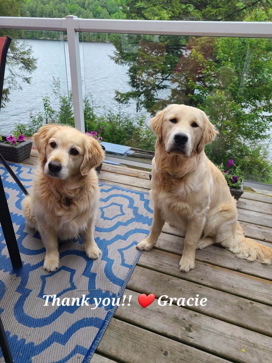 Courtney, Gracie & Patrick 🇨🇦🍁⚾️🌸🌱 tweet media