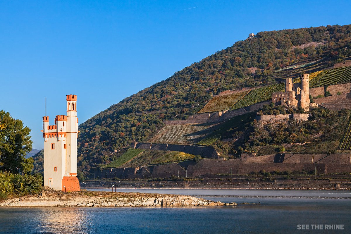 Bingen am Rhein 🇩🇪 - The Mouse Tower (Mäuseturm) and the ruins of Ehrenfels Castle. Part of the UNESCO World Heritage Site - Upper Middle Rhine Valley.

#rheinlandpfalz #RLPerleben #romanticgermany #visitrlp #VisitEurope