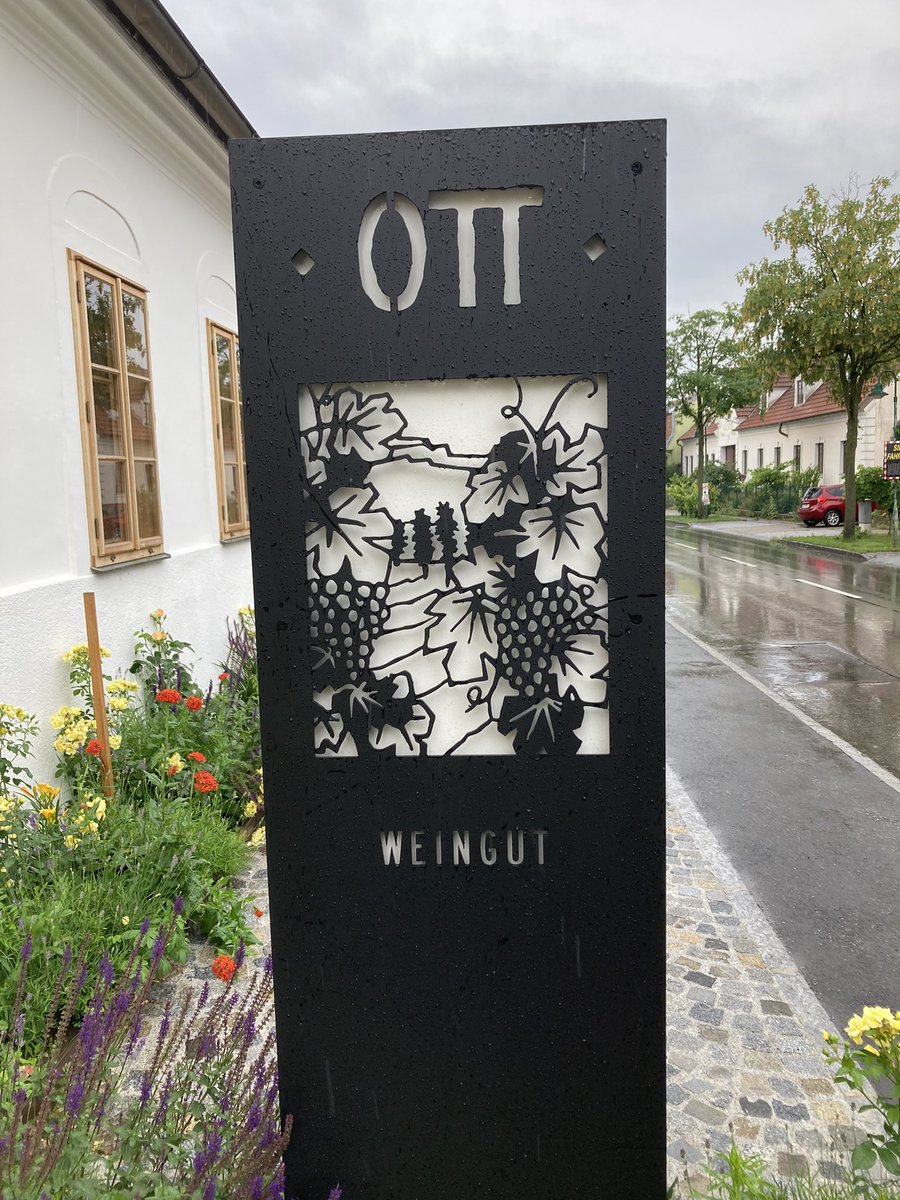 J_Pine_Savage's tweet image. Last of 3 days in Wachau today. Domaine Wachau and Prager yesterday. Ott this morning. Finishing w Weingut Rudolf Pichler shortly. #wachau #durnstein #GrunerVeltliner