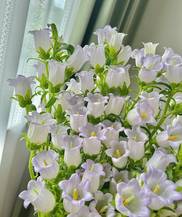 He got these for Oakley— do you think he’ll like them? 🥺