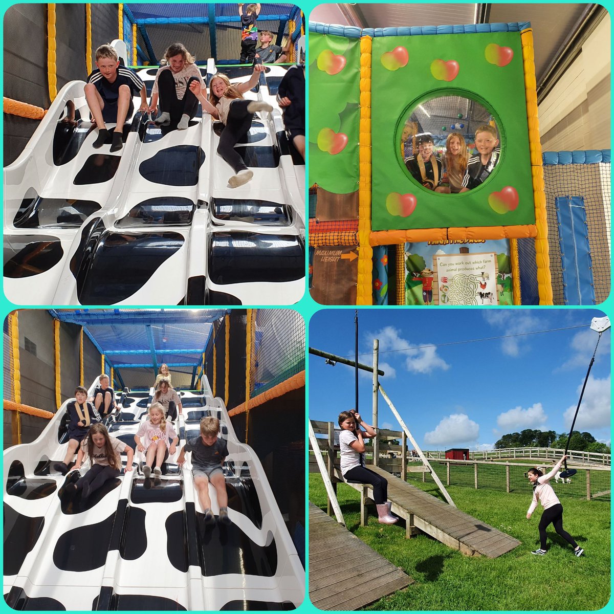 P6Bcdps's tweet photo. 🚜A fantastic day at Ernespie farm today!🚜A tour of the farm🐄, feeding goats🐐, and lots of play!😁The sun even came out for us too! ☀️#cdpsdg7 https://t.co/swC3DQnbcS