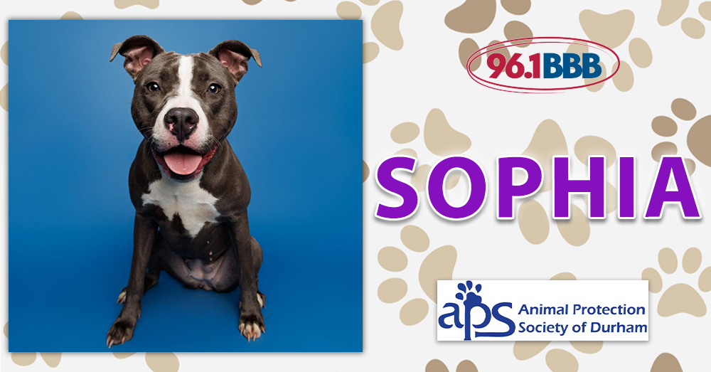 APS of Durham tweet media