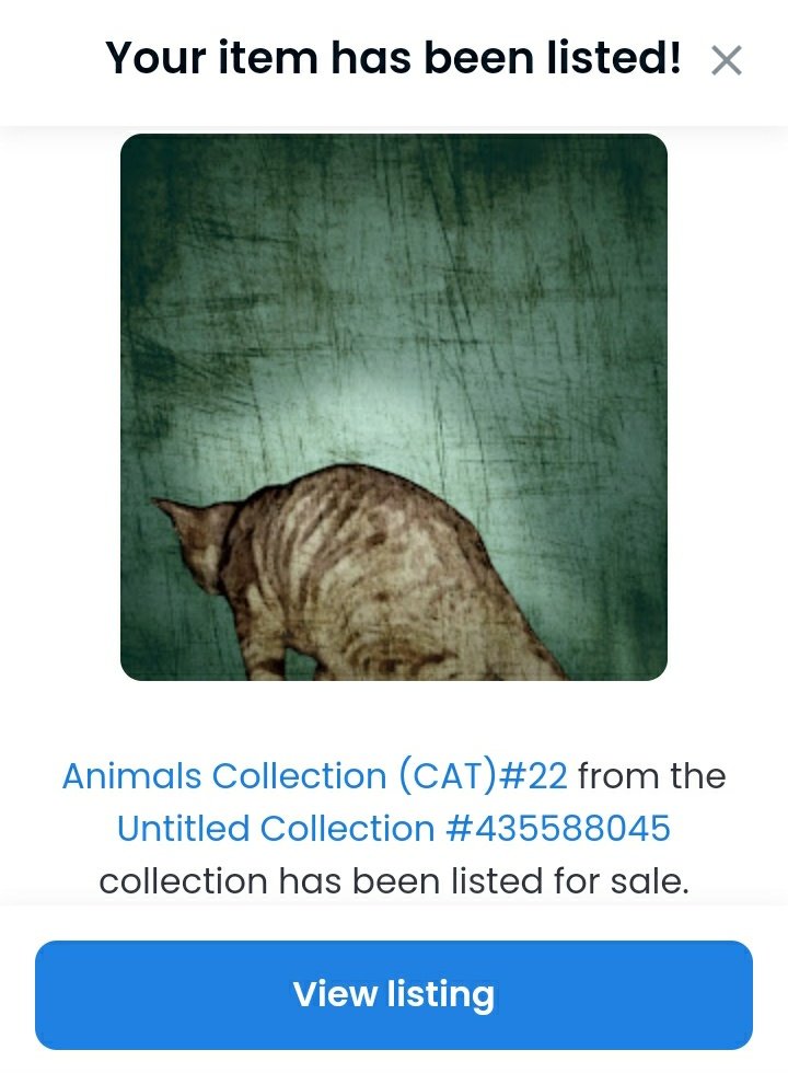 AnimalsARTz's tweet image. My new Animals Collection (CAT)

thanks help me reach the first 100 followers.
"Wednesday afternoon 12:55 pm"

opensea.io/AnimalsCollect…

#nftproject #nftdrop #nftsale #nftsales #nftcommunity #nftcollection #nftnews #nftartists #nftcollector #NFTGiveaways