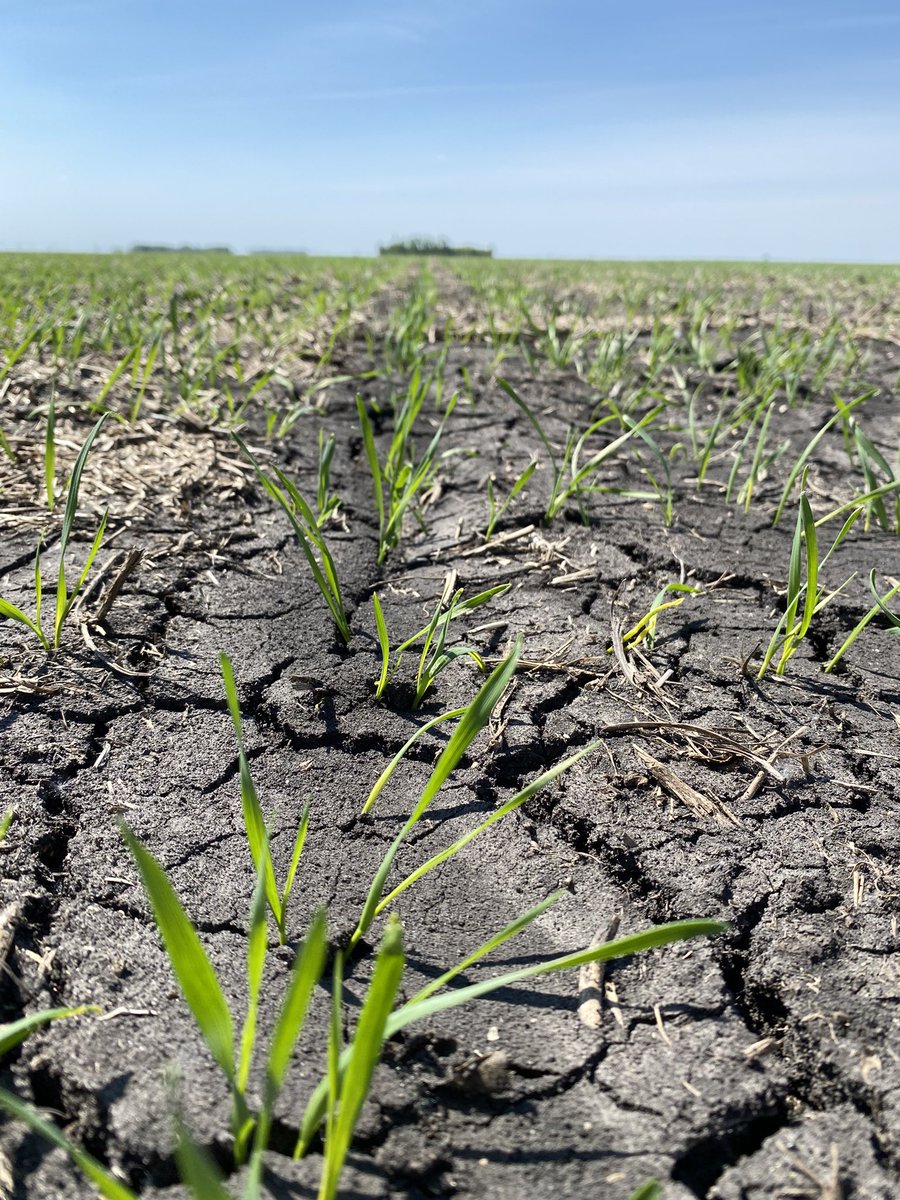 Miller Agritec Inc tweet media