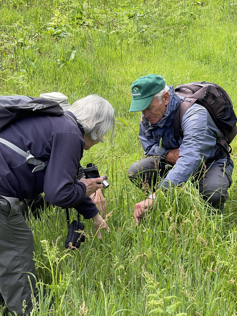 A fantastic week with <a href="/naturetrektours/">Naturetrek</a> visitors. They joined wildlife experts from the <a href="/CentreBraunton/">BrauntonCountrysideCentre</a> and the <a href="/nationaltrust/">National Trust</a> across North Devon. Species observed included the the rare Brown Banded Carder Bee and the High Brown Fritillary #wildlifetourism #northdevon #wildlife