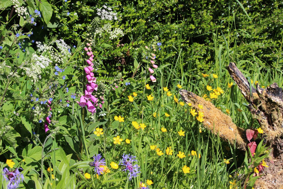 @SWTCLUN tweet media