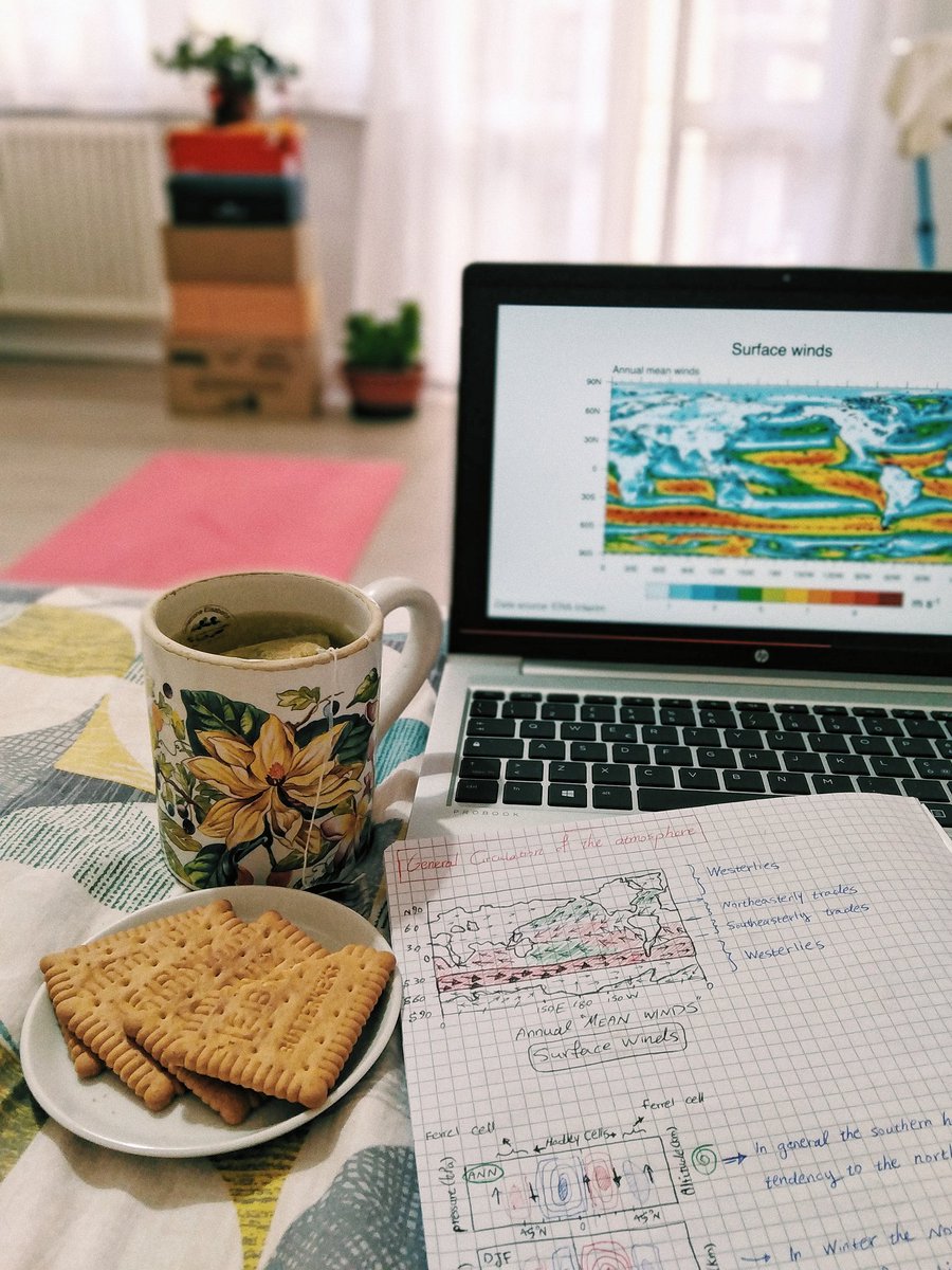Roshanak_t's tweet image. Treating myself with butter 🍪s and camomile 🍵, whilst taking notes about the #generalCirculation of the #atmosphere, #hadley cells, and transportation of air mass.
My very fascinating Friday night... 🙄🐸