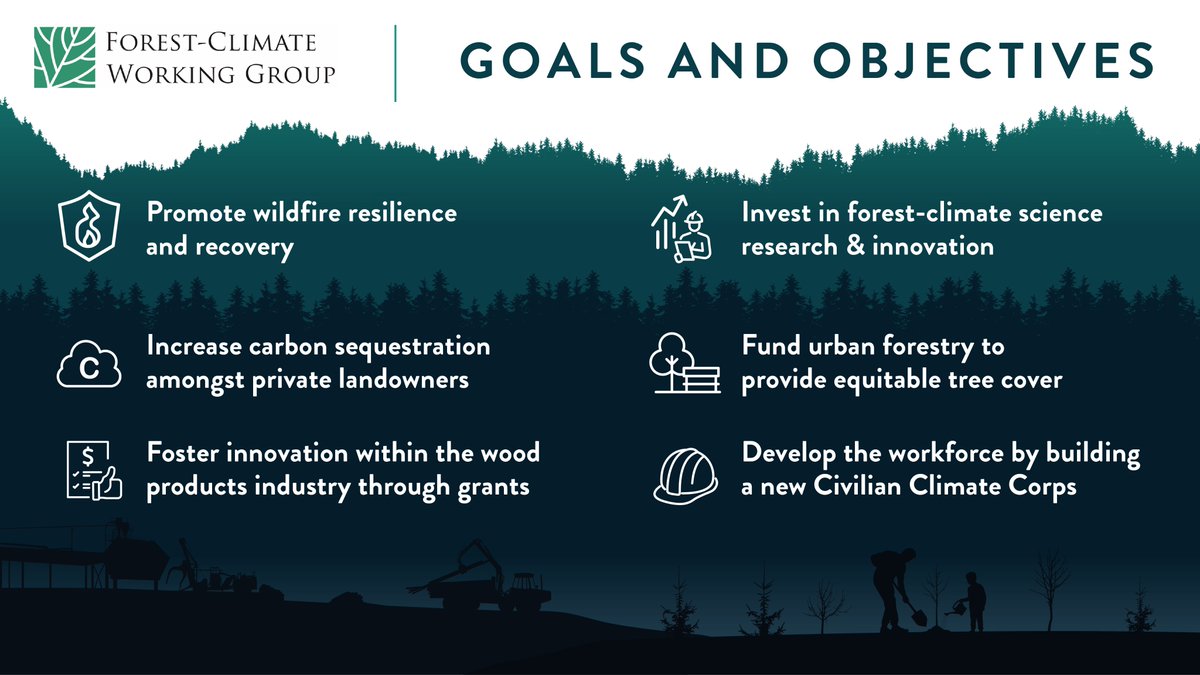 ForestClimateWG's tweet photo. Our #ForestClimateWeek is drawing to a close, but in our book, it's always time to talk #Forests4Climate. Here's what's driving us through the end of this year: https://t.co/B0gY9aqjFh