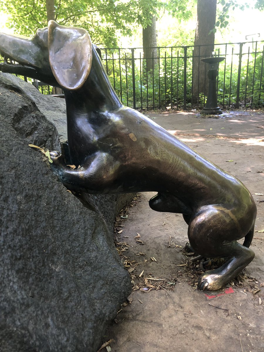 shandthomas's tweet photo. At the baby playground and why does this dog have a hog https://t.co/uLQnz6DE7G