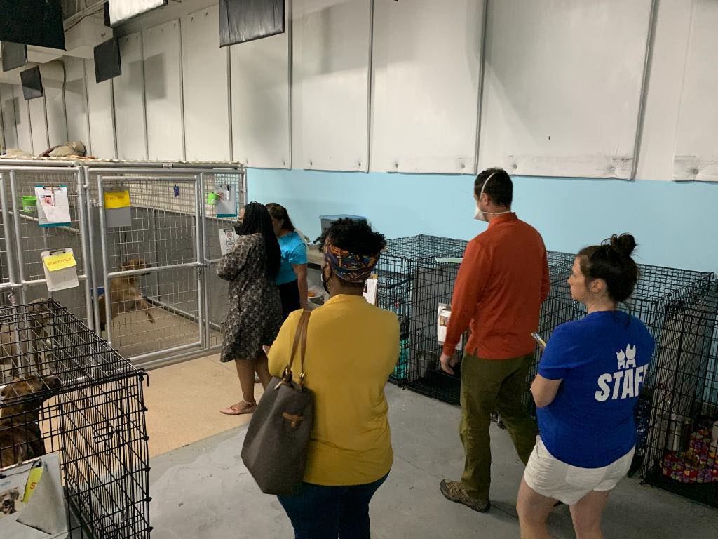 CARE STL (@carestl1) on Twitter photo Director of Health, <a href="/MatiH_ID/">Mati Hlatshwayo Davis, MD, MPH, FIDSA</a> recently visited CARE STL and saw we have an urgent need for volunteers to help us provide the highest quality care for the animals.
Come join our us! 🐶 😻
icarestl.org/volunteer
#animalshelter #volunteer #StLouis #publichealth #dogs #cats Director of Health, <a href="/MatiH_ID/">Mati Hlatshwayo Davis, MD, MPH, FIDSA</a> recently visited CARE STL and saw we have an urgent need for volunteers to help us provide the highest quality care for the animals.
Come join our us! 🐶 😻
icarestl.org/volunteer
#animalshelter #volunteer #StLouis #publichealth #dogs #cats