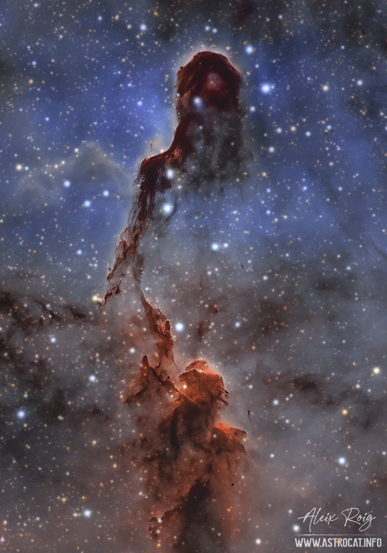 SpaceAstronomer's tweet photo. Awesome Elephant’s Trunk Nebula RT @astrocatinfo https://t.co/P41PFHRwhv