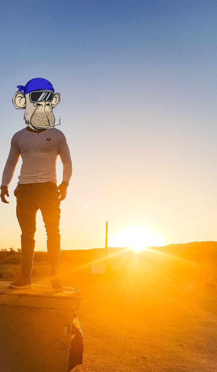 Where are my #SunDowner loving apes? 🌞😎🌅🌇🌄 Check out the bright shining community of @BASC_DAO 💗

#BASC #ApesTogetherStrong #apesfollowapes #SunDowners #community #NFTCommunity #love