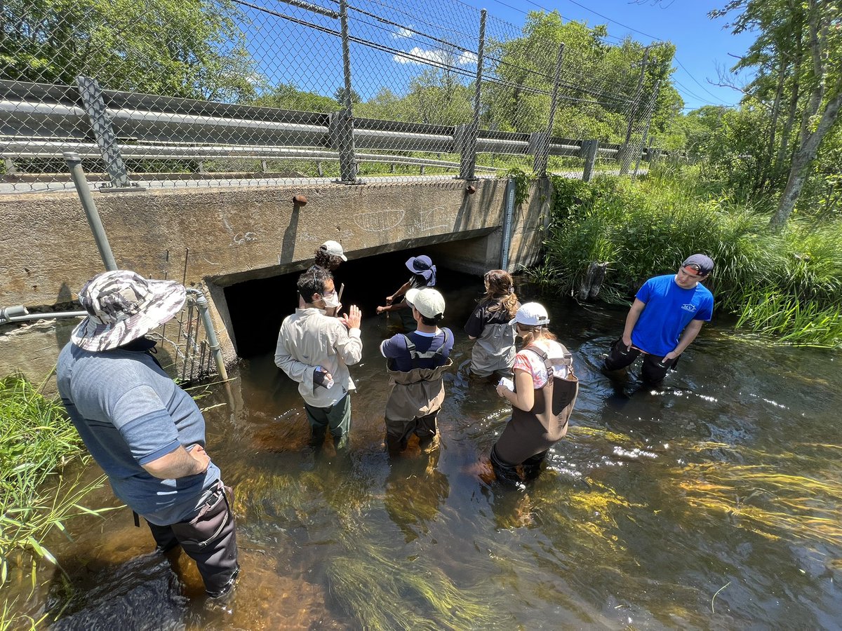 H2O_Soni's tweet photo. Water'ya doing? We're having a fun-field day.Our Science&amp;Engg Fellows are learning stream discharge measurements in #Chipuxet River. @USGS @panthijeeban @Martin76Env #BrendanMcCarron #RogerHart #PradhanangLab #WaterWhisperer @universityofri @URI_GEO @uricels @SonTek_Xylem @CUAHSI https://t.co/RcxYPZZ0lA