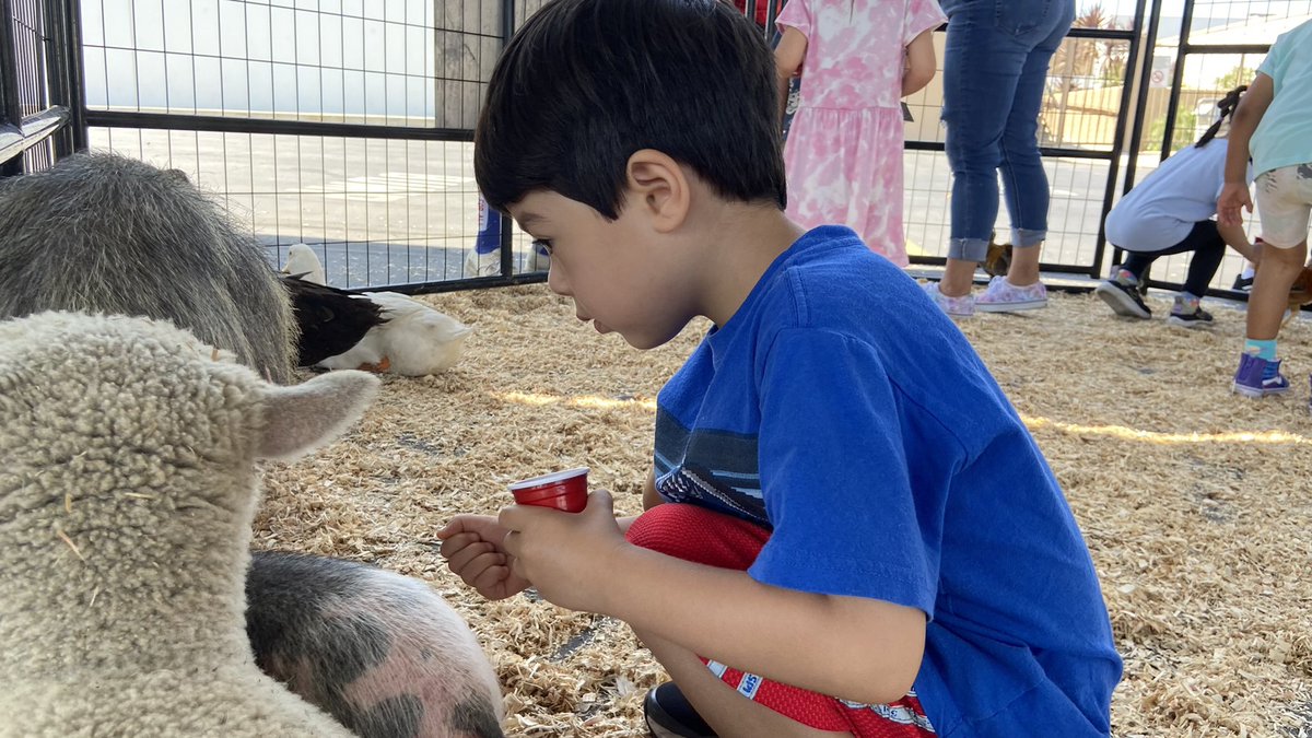 wvusdcc's tweet photo. @WVUSD_Tweet Just in time for breakfast - Preschool Summer Fun! https://t.co/if7k2aHhpc