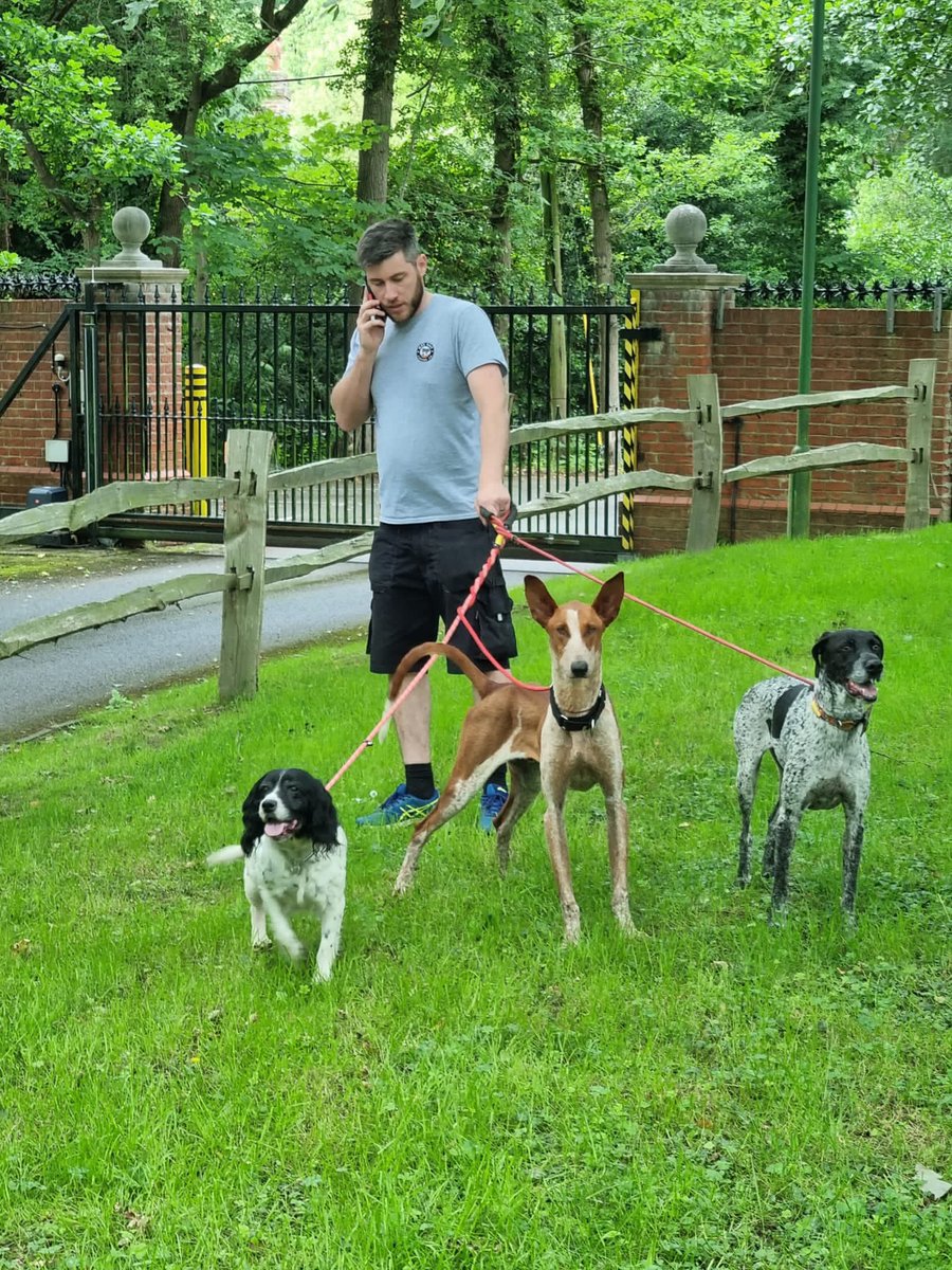 Great day today meeting some of the rescue dogs from @orientalpoppy some amazing work done by this rescue centre !! Beau loved meeting some of the pack #dogs #dogsoftwitter #rescue #maddogcoffee #friday #charity #FridayFeeling #sbswinner