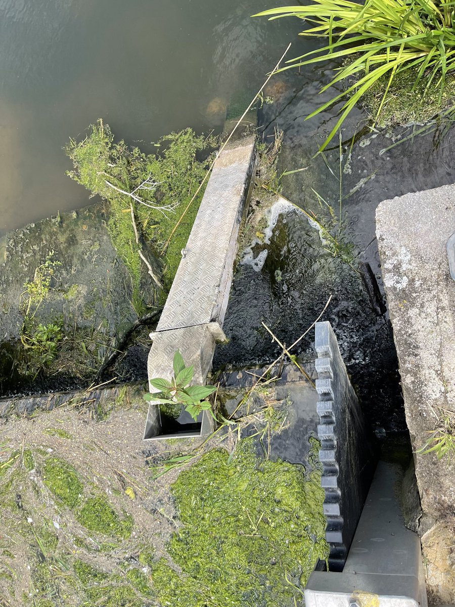 Phil Brewin tweet media