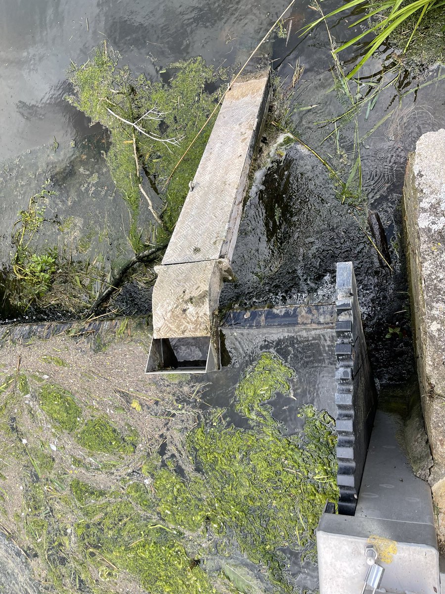 Phil Brewin tweet media