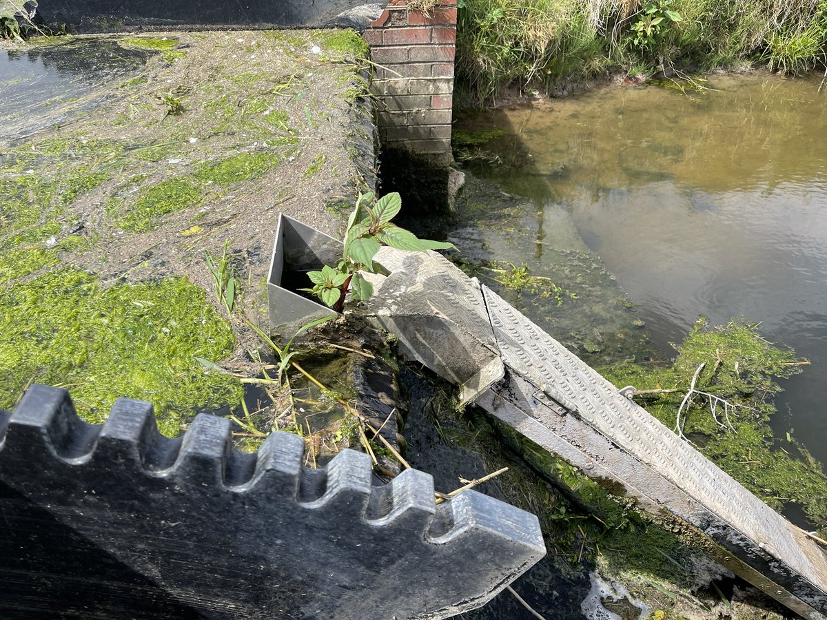 Phil Brewin tweet media