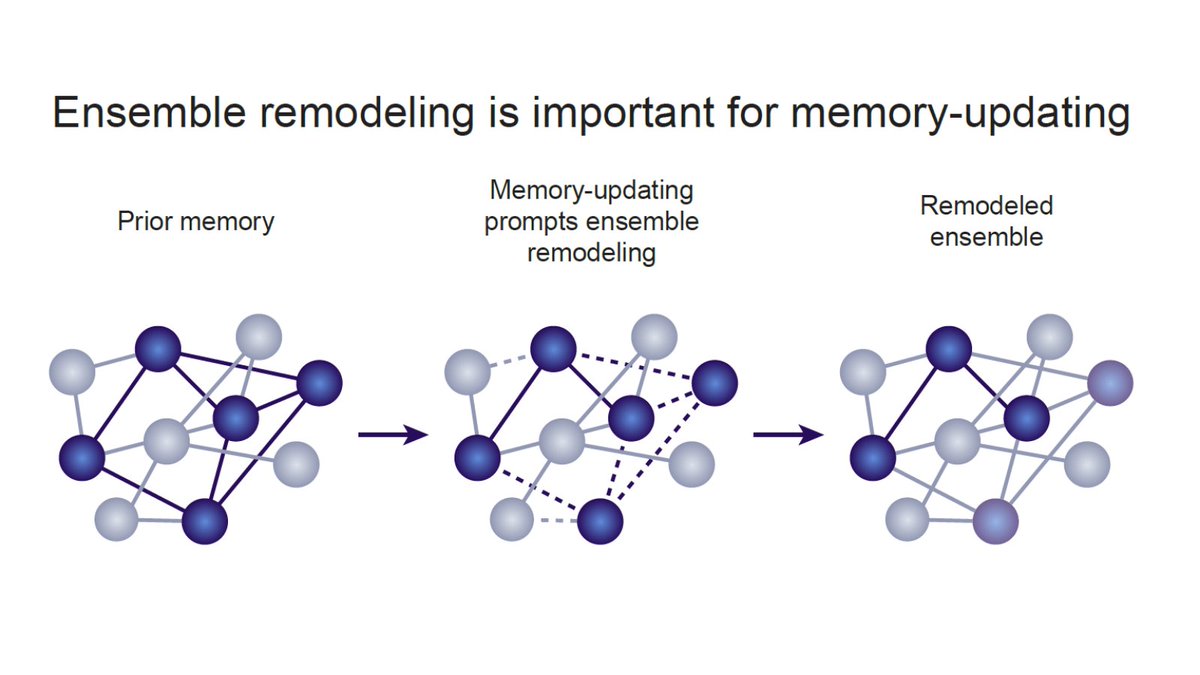 William Mau tweet media