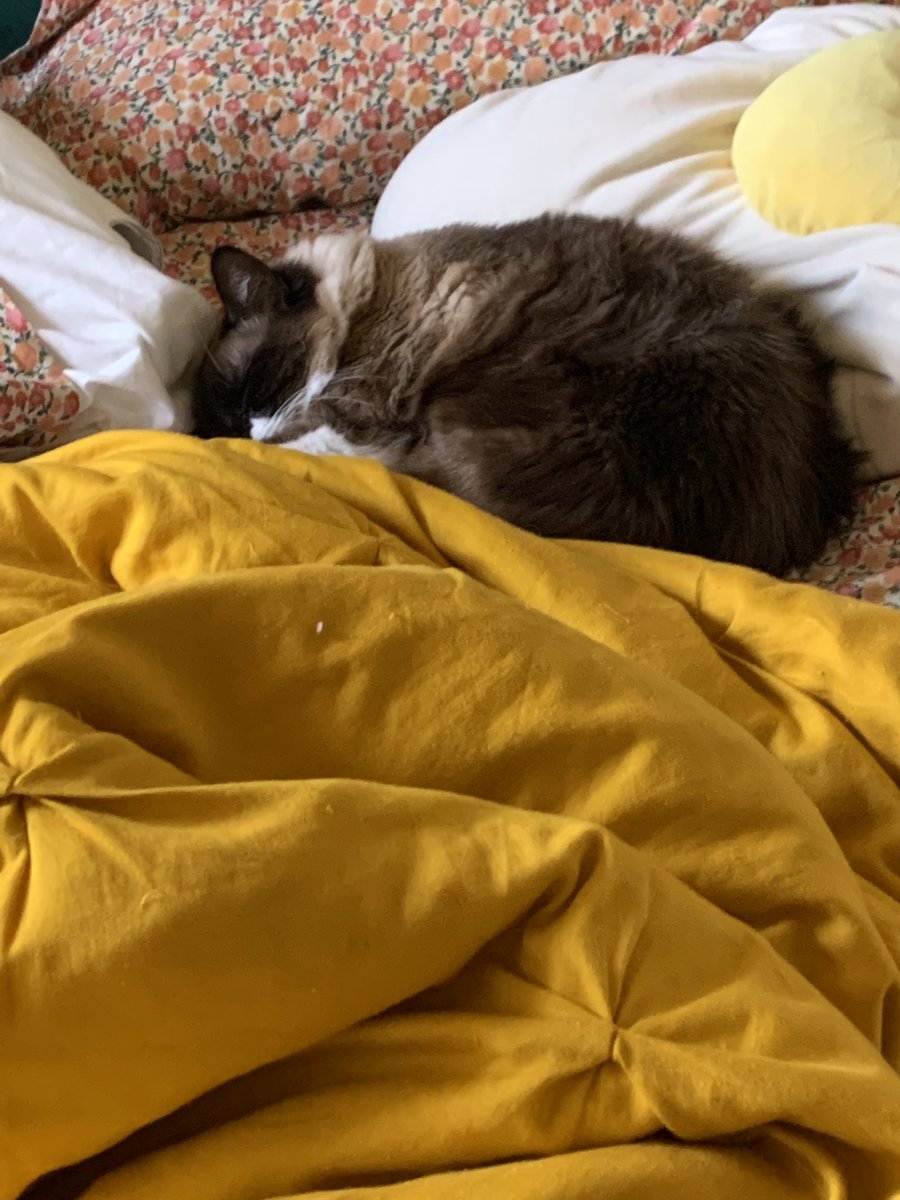 SugarLemonArt's tweet photo. @ScrubFiend Sleepy bugs on demand https://t.co/J0pmLa4Wc8