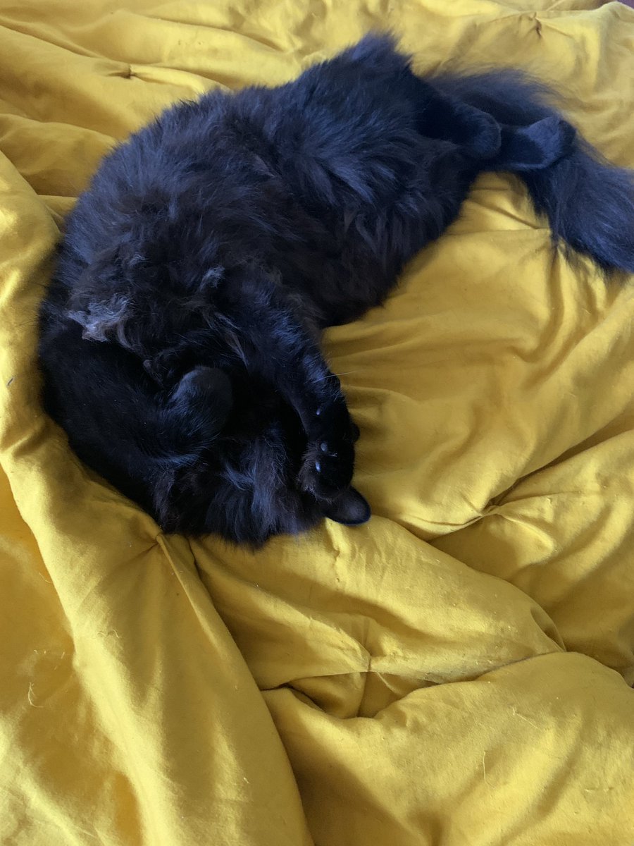 SugarLemonArt's tweet photo. @ScrubFiend Sleepy bugs on demand https://t.co/J0pmLa4Wc8