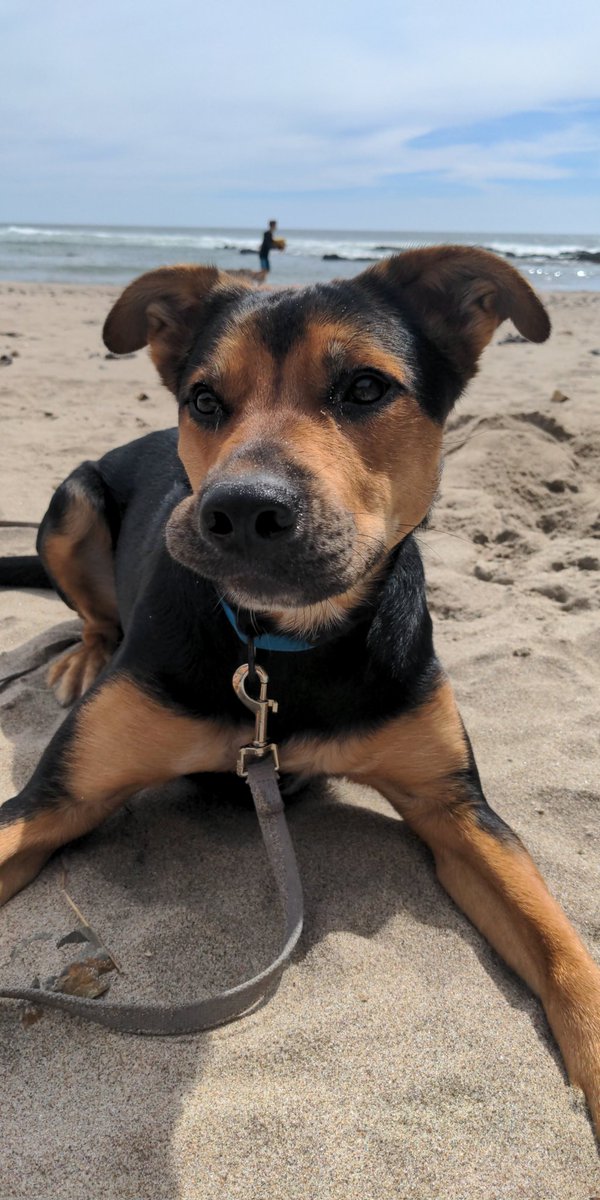 MadameMidge tweet media