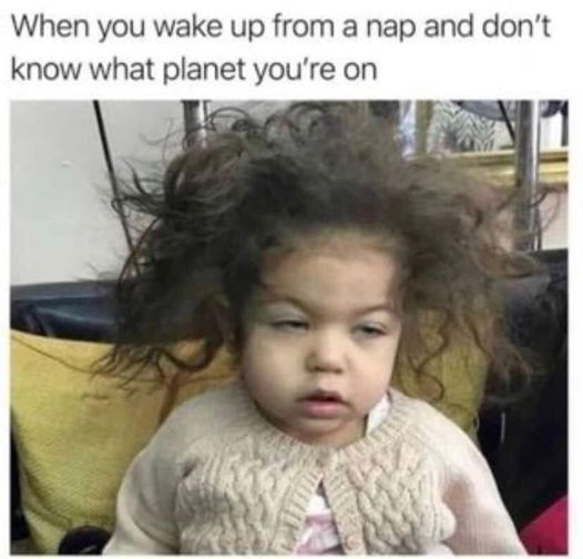 HeatherWeidner1's tweet photo. Truth! #nap #whatplanet #whathappened https://t.co/1Pqzrz1mui
