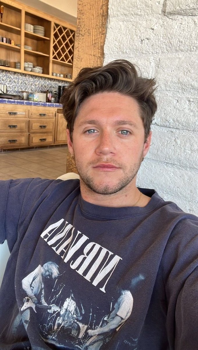 _A_Villalobos_'s tweet photo. Cada que tengo examen de Esfuerzos Estructurales aparece Niall, eso me hace muy feliz y me quita un poco el estrés 🙃❤

@NiallOfficial wish me good luck! https://t.co/Op3fYNC9L8